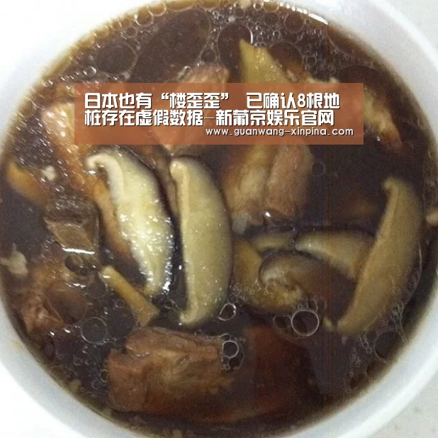 日本也有“楼歪歪” 已确认8根地桩存在虚假数据-新葡京娱乐官网(图3) 新葡京娱乐官网