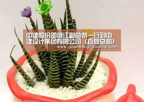 中建股份邵继江副总裁一行到中建设计集团有限公司(直营总部)进行工作调研【澳门新葡京游戏】(图4) 新葡京娱乐官网